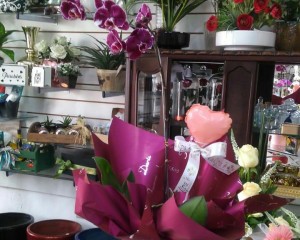 10- Orquídea  na cor vinho em cachepô rosa com coração